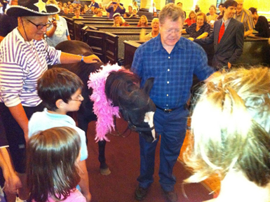 pauls_pony