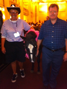 pauls_pony3