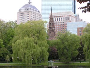View of Arlington Street Church Steeple through the trees of Boston Public Garden.